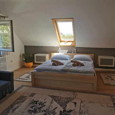 Platan Haz * רבפולופ